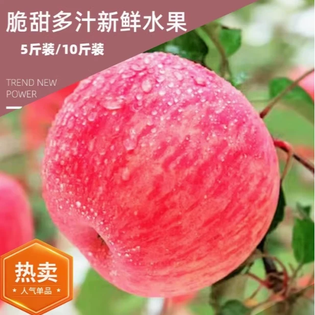 [脆甜多汁] 陕西铜川红富士苹果新鲜水果超市新鲜8-9斤小果包邮