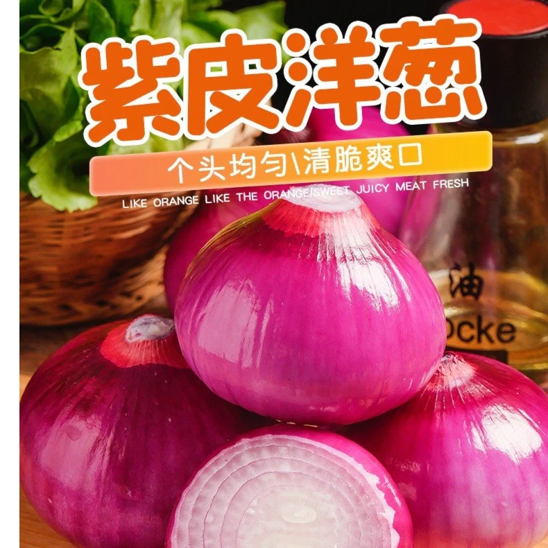 河南新鲜紫皮洋葱5斤 农家自种 鲜嫩脆爽食用