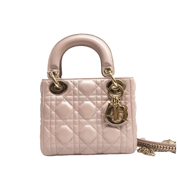 95新 DIOR/迪奥 安洁利严选戴妃包/BK0123883