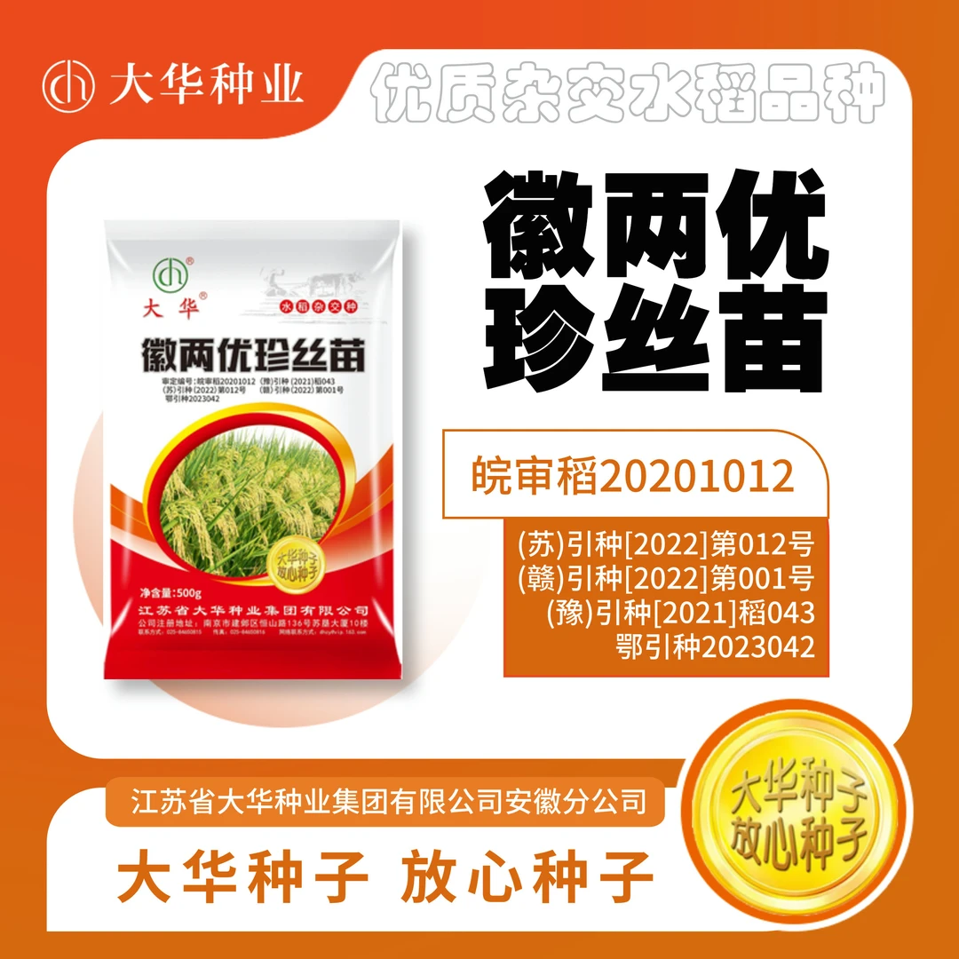 杂交水稻—徽两优珍丝苗 易种易管易高产