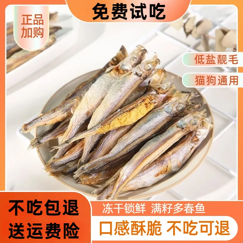 多春鱼冻干猫零食酥脆营养丰富微量元素满籽鱼干宠物零食增肥亮毛