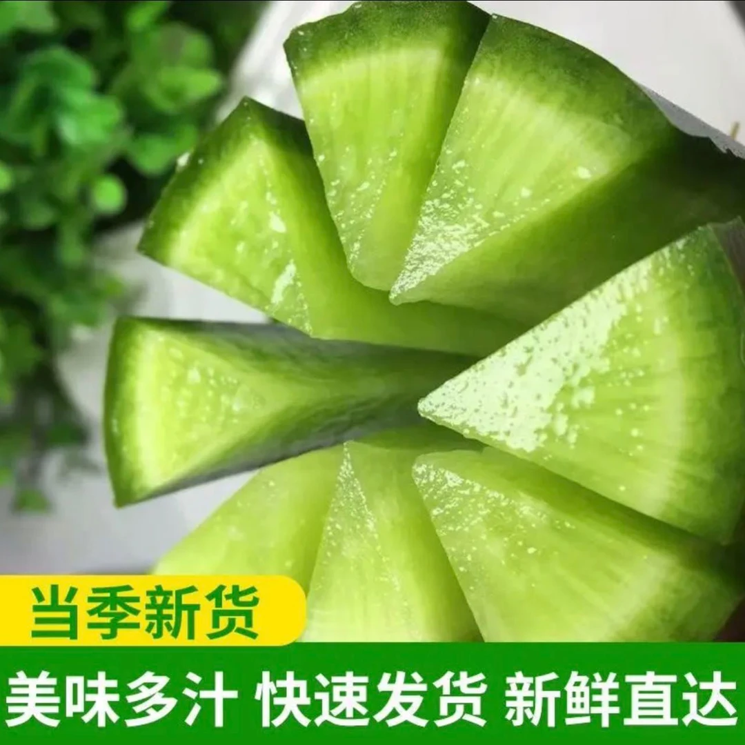 【顺丰快递】天津正宗老味道沙窝萝卜三斤瑕疵果，福利款