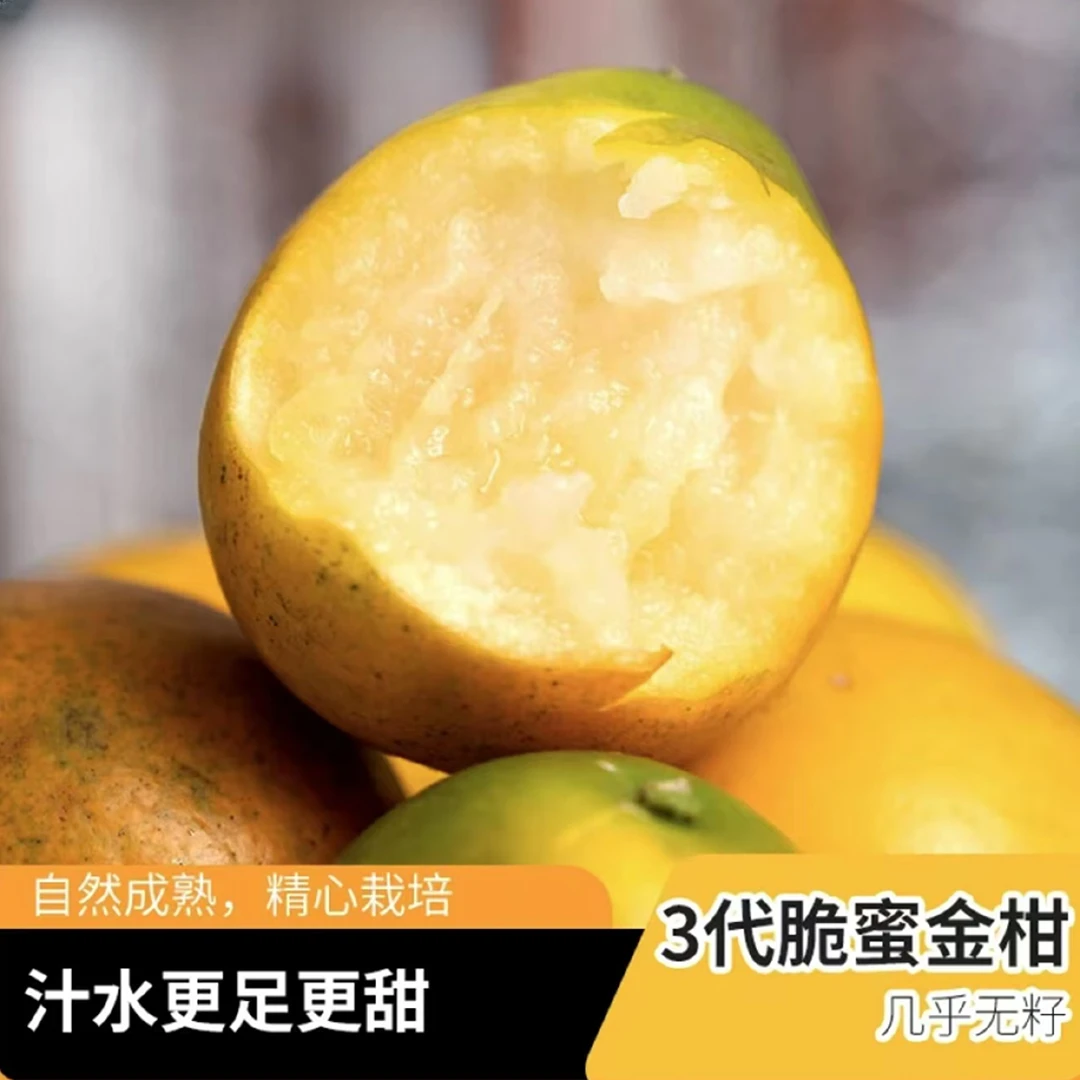 【顺丰/京东】融安金桔 脆蜜金柑 纯甜无酸脆嫩化渣