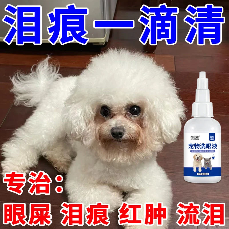 比熊洗眼液去泪痕神器抗菌消炎泰迪猫咪狗狗通用滴眼液清洁除眼屎