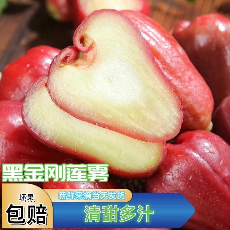正宗海南黑金刚莲雾热带水果鲜嫩多汁三亚莲雾果现摘现发脆甜水果