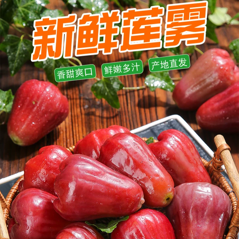 【顺丰包邮】海南黑金刚莲雾果新鲜热带水果清甜特产果地直发鲜脆