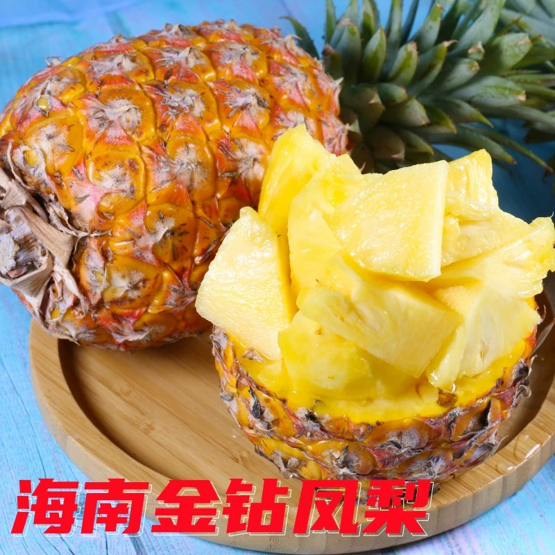 海南树上熟金钻凤梨热带水果特产鲜甜多汁果地直发1.5斤-9斤菠萝