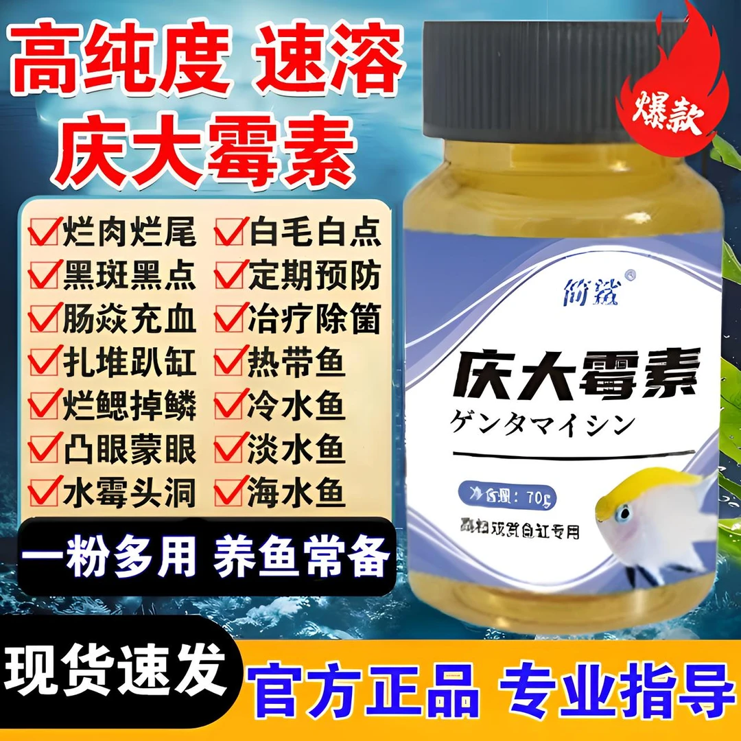 鱼用庆大霉素锦鲤龙鱼烂身立鳞烂鳃烂尾白毛白点观赏鱼鱼缸专用