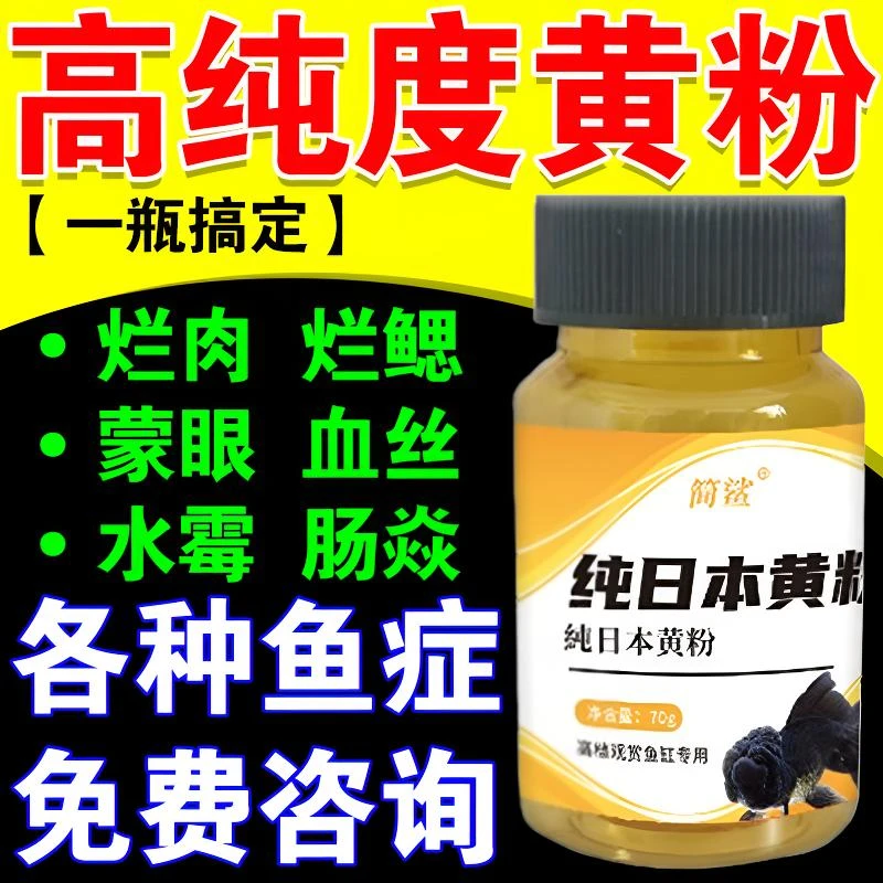 纯日本黄粉锦鲤金鱼观赏鱼掉鳞烂鳍白点白毛身上黑点水霉鱼缸专用