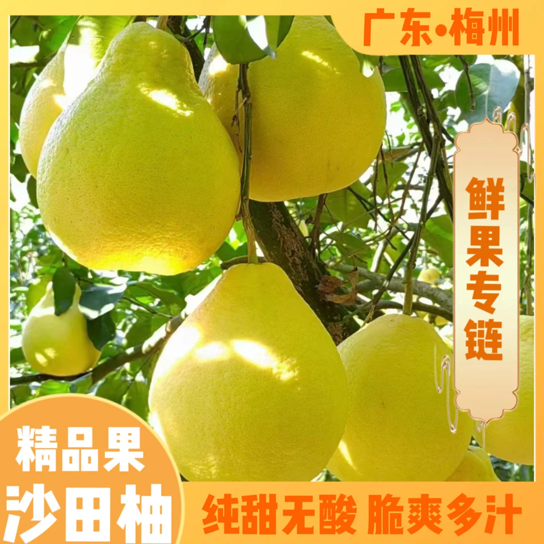 【沙田柚】正宗广东梅州沙田柚头茬新鲜现摘孕妇水果纯甜白柚子礼盒