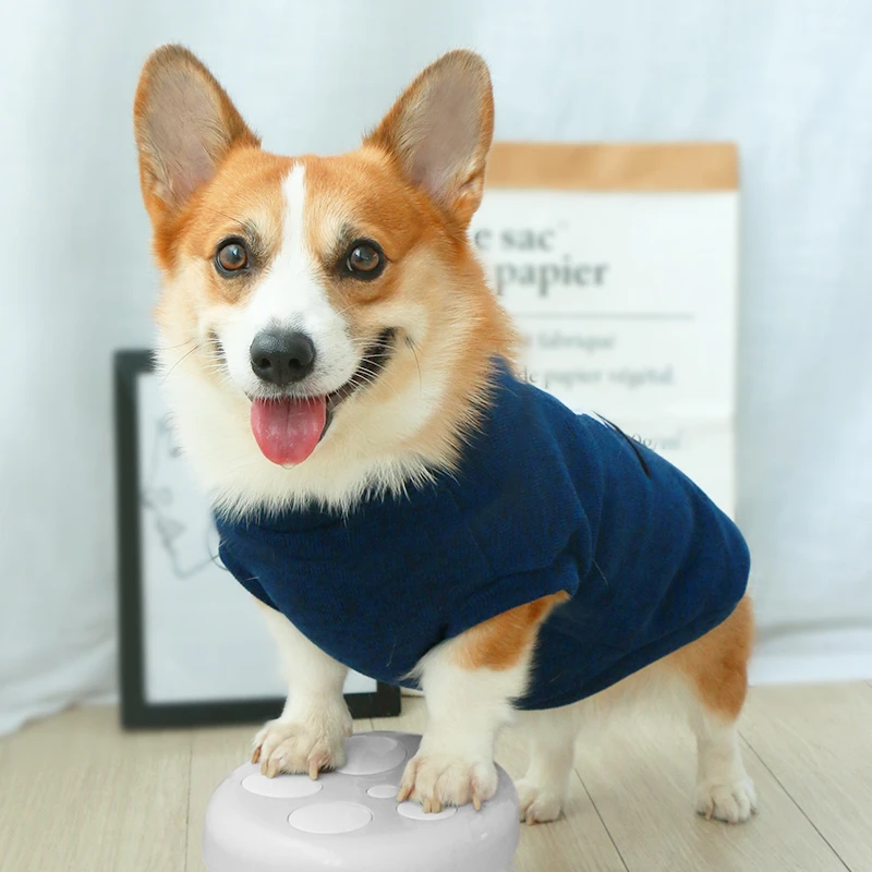 宠物衣服狗狗秋冬可爱柯基中型犬冬季保暖小型犬冬天针织2025新款