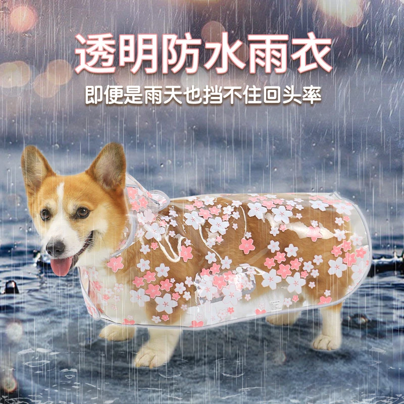 宠物狗狗雨衣防溅雨披柴犬边牧柯基泰迪下雨神器全包防水衣服法斗