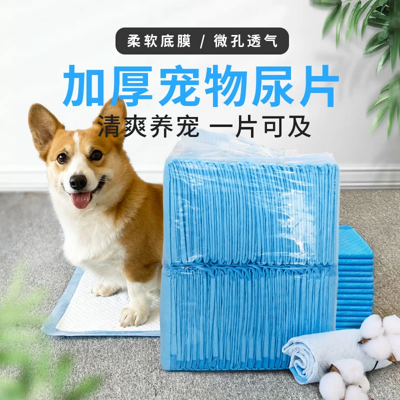 宠物尿垫大号吸水加厚一次性尿不湿中型犬小型犬尿布狗狗厕所用品
