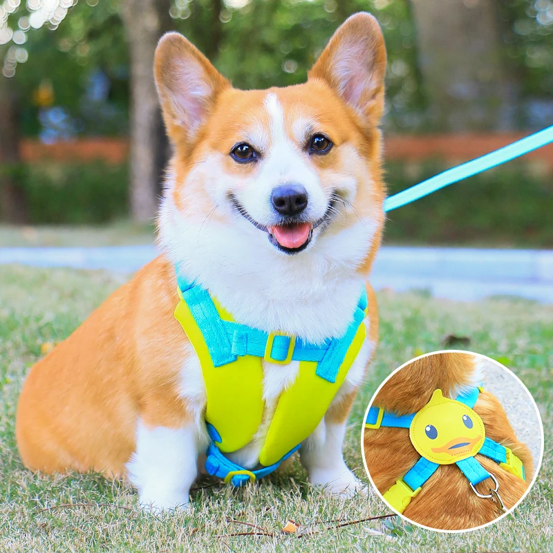 宠物狗狗卡通胸背带牵引绳背心式小型犬狗绳加厚防护防爆冲遛狗绳