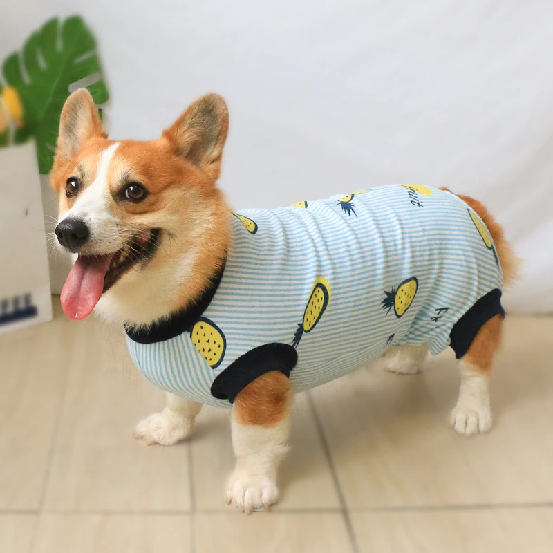 宠物狗狗四脚衣服全包秋冬防掉毛柯基泰迪冬装冬天冬季中型犬护肚