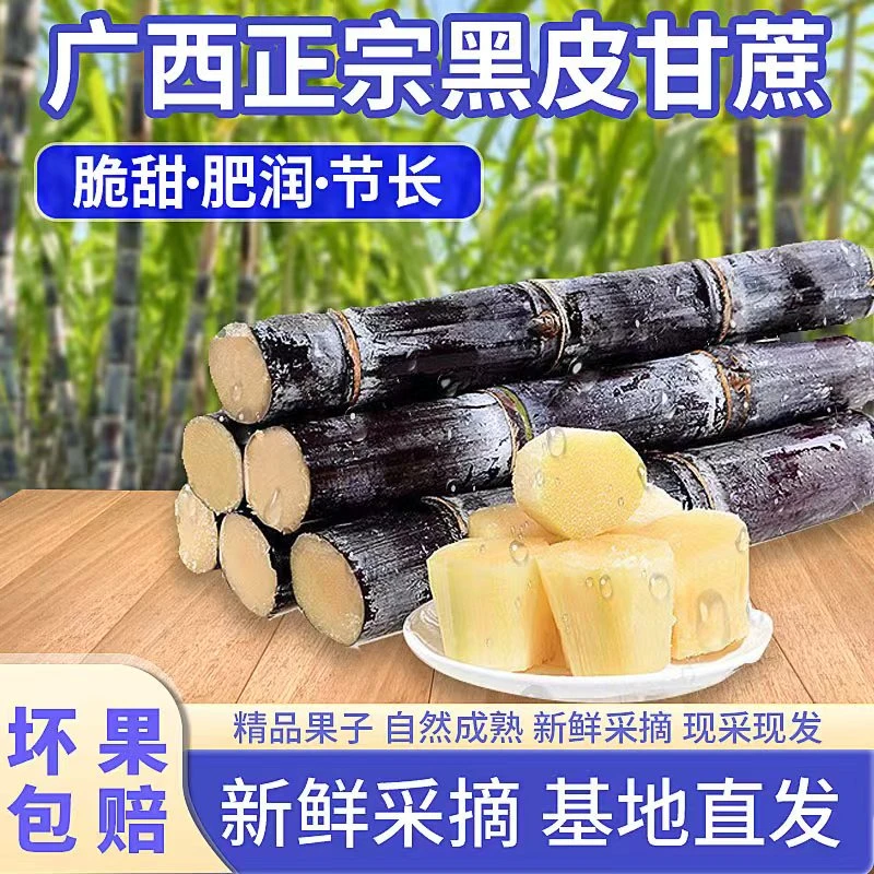 广西黑皮甘蔗新鲜现砍现称5/9斤包邮坏果包赔清甜爽口