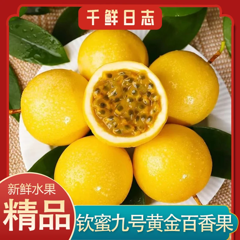 钦蜜9号黄金百香果10个装热带新鲜水果现摘纯甜清香单果60g-70g