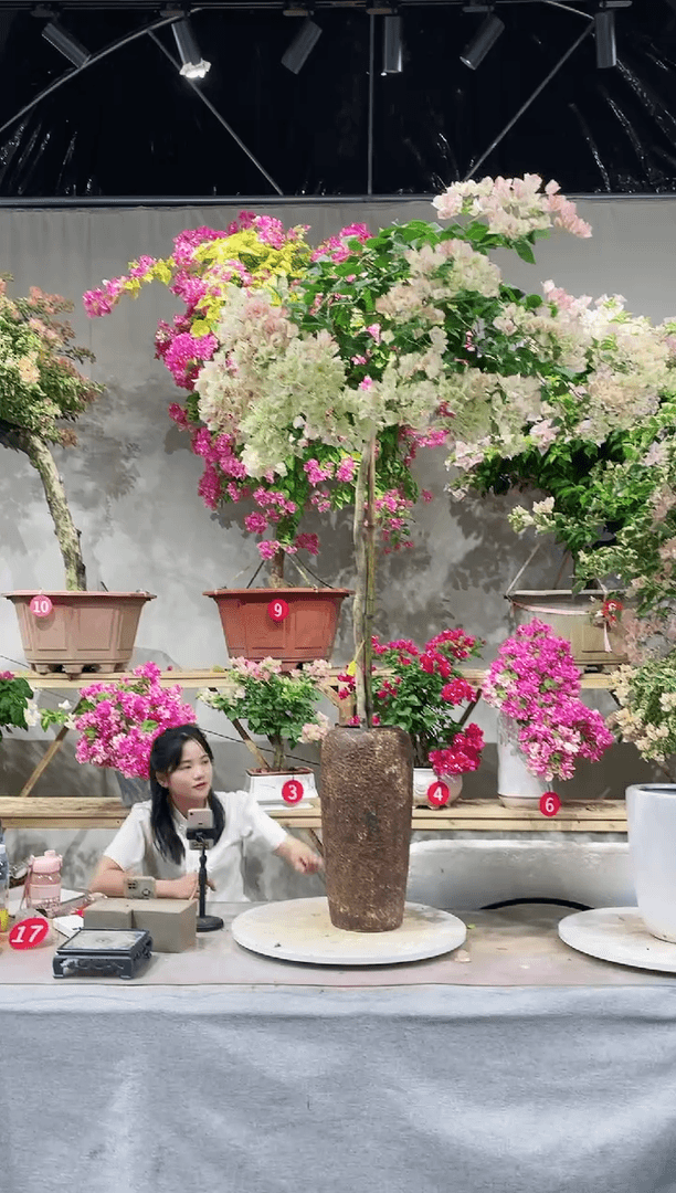 【闪购商品】盆景五宝 定金用链接
