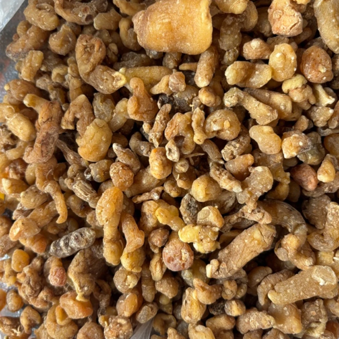 莲心收山货 藏精灵菇