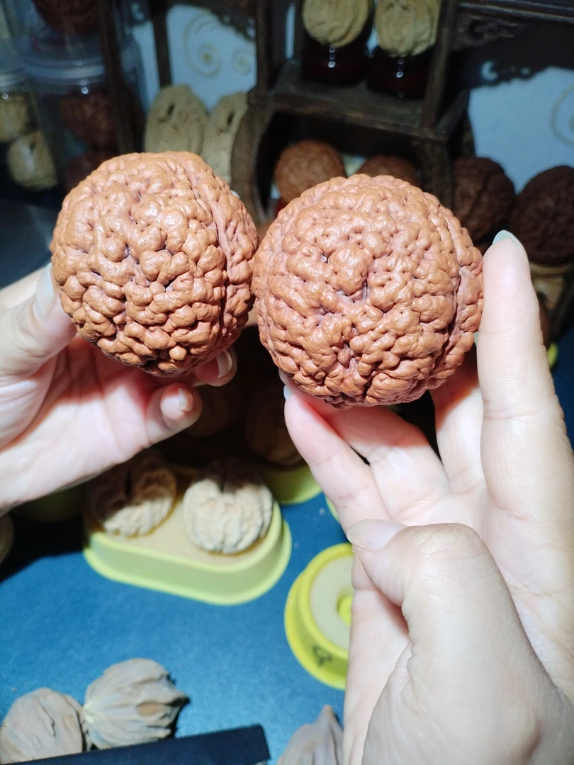 野生三瓣脑纹大金刚