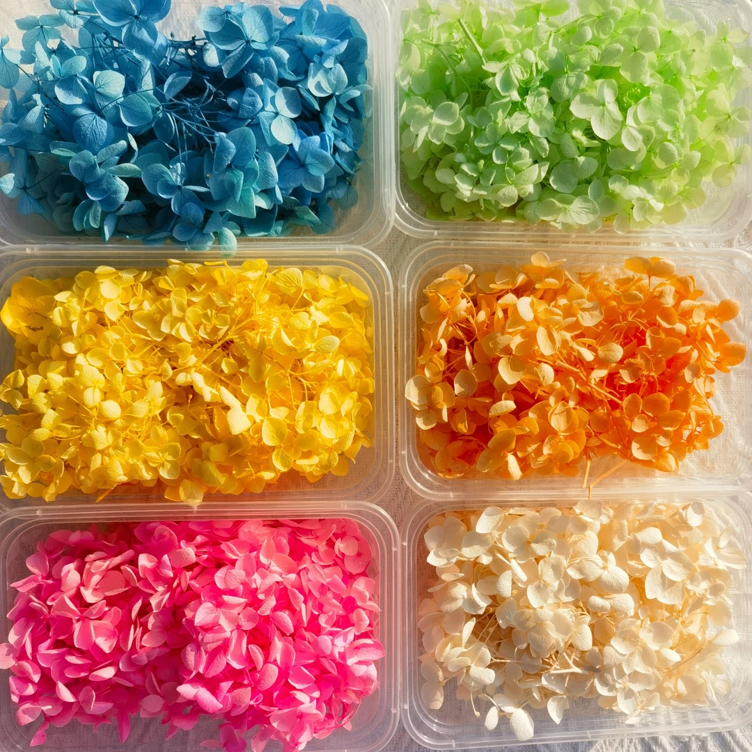 安娜绣球永生花花瓣批发 手工花朵diy材料包 手工制作玻璃罩装饰