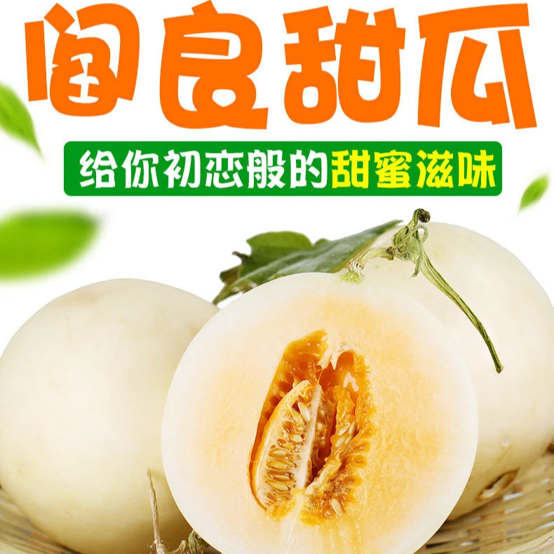 现摘陕西甜瓜爆甜香瓜脆瓜现摘白皮甜瓜当季水果新鲜水果