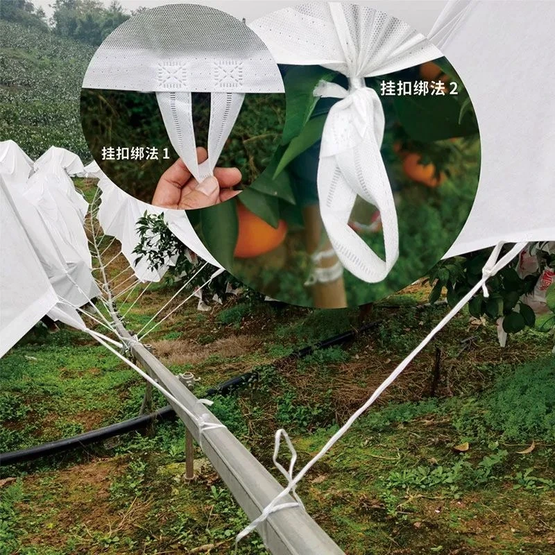 @丰橙优选防寒布