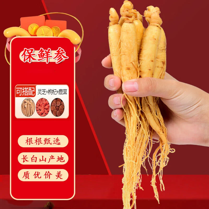 【一支装】长白山精选保鲜人参1支6g 真空包装食用