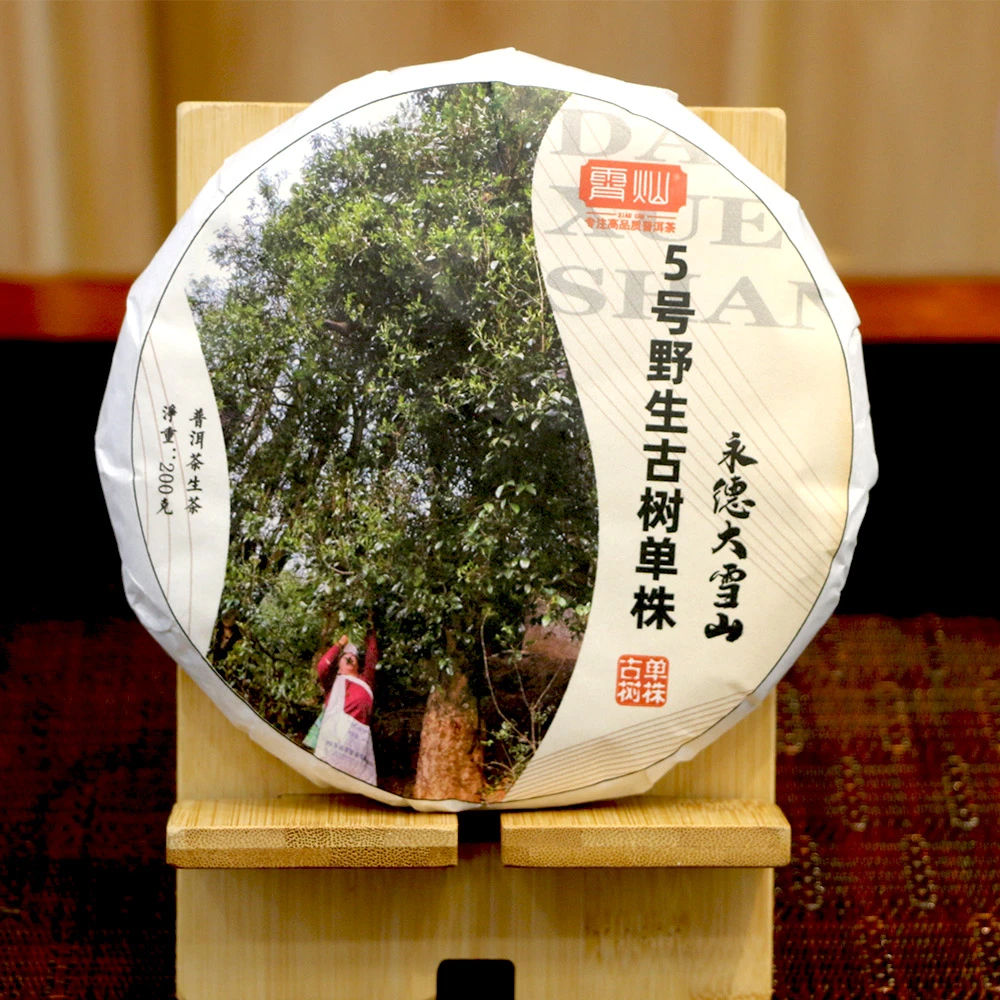 霄灿茶业 永德大雪山5号野茶古树单株
