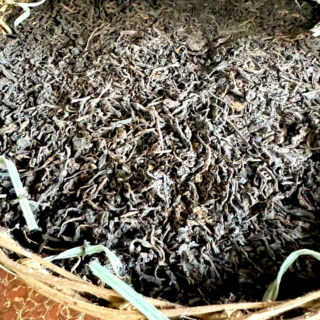 60年代老生茶普洱茶500g秘境易武