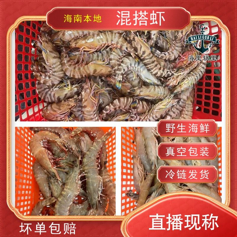 海南海捕野生【松头麻虾】
