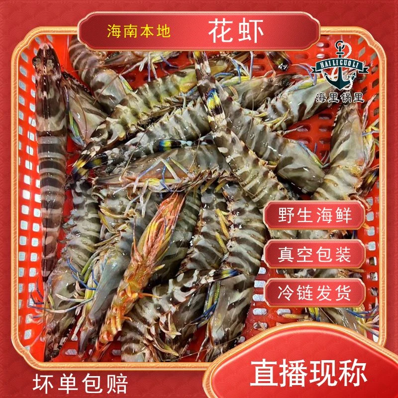 海南海捕野生【花虾】规格现做链接