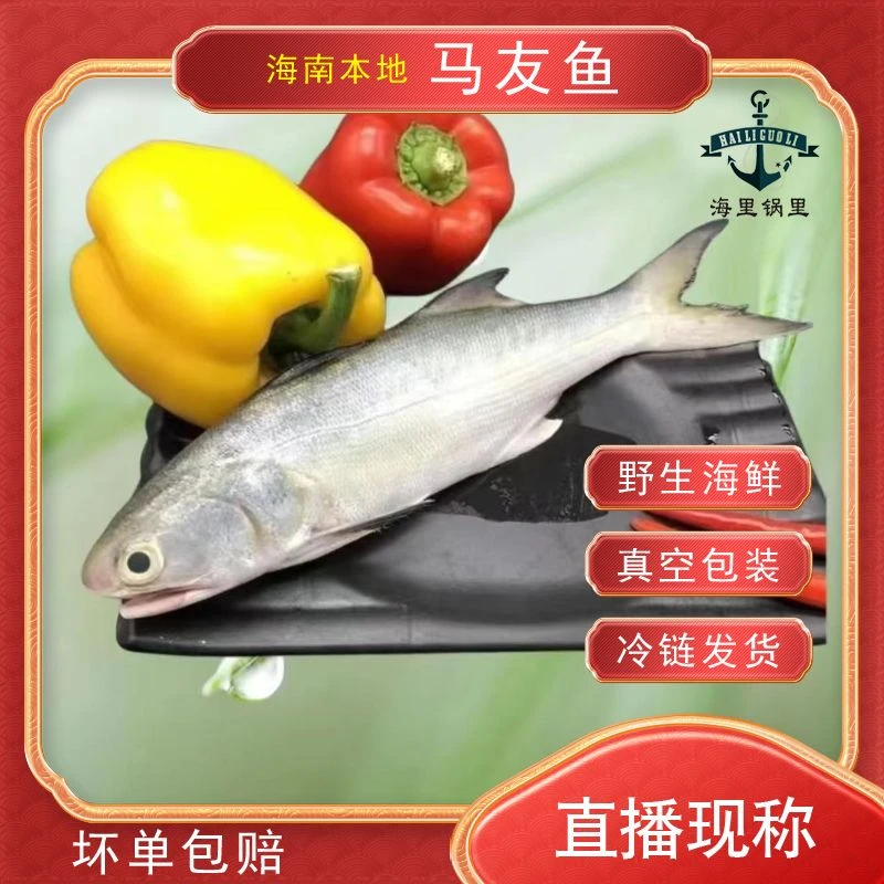 1海南新鲜【马友鱼】直播，现秤现拍