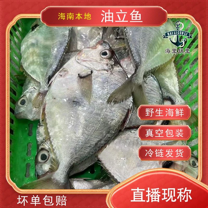 海南本港（油立鱼）直播现称2