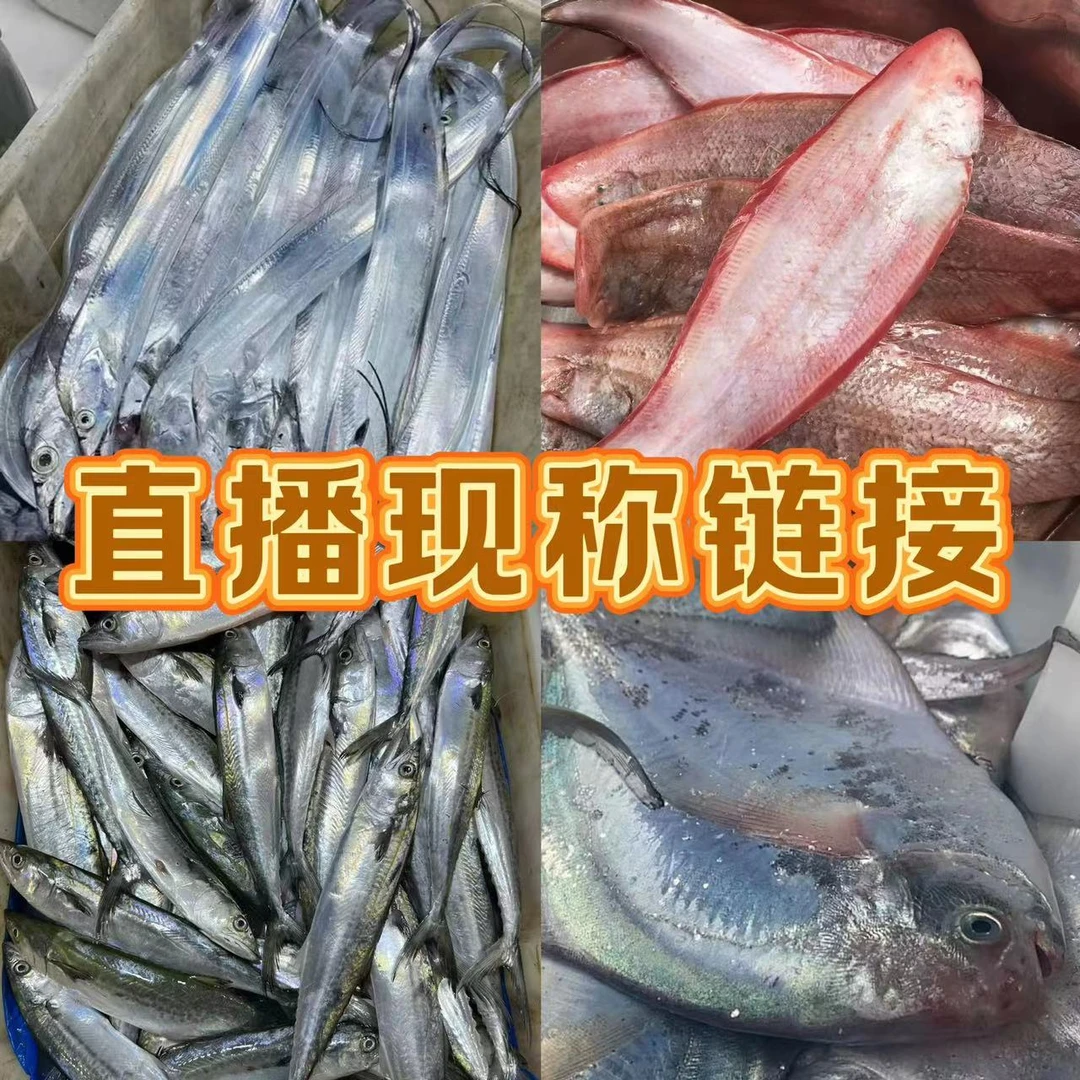 冷冻鱼类（破肚擦皮掉鳞残刀）以直播画面为准 残刀介意勿拍