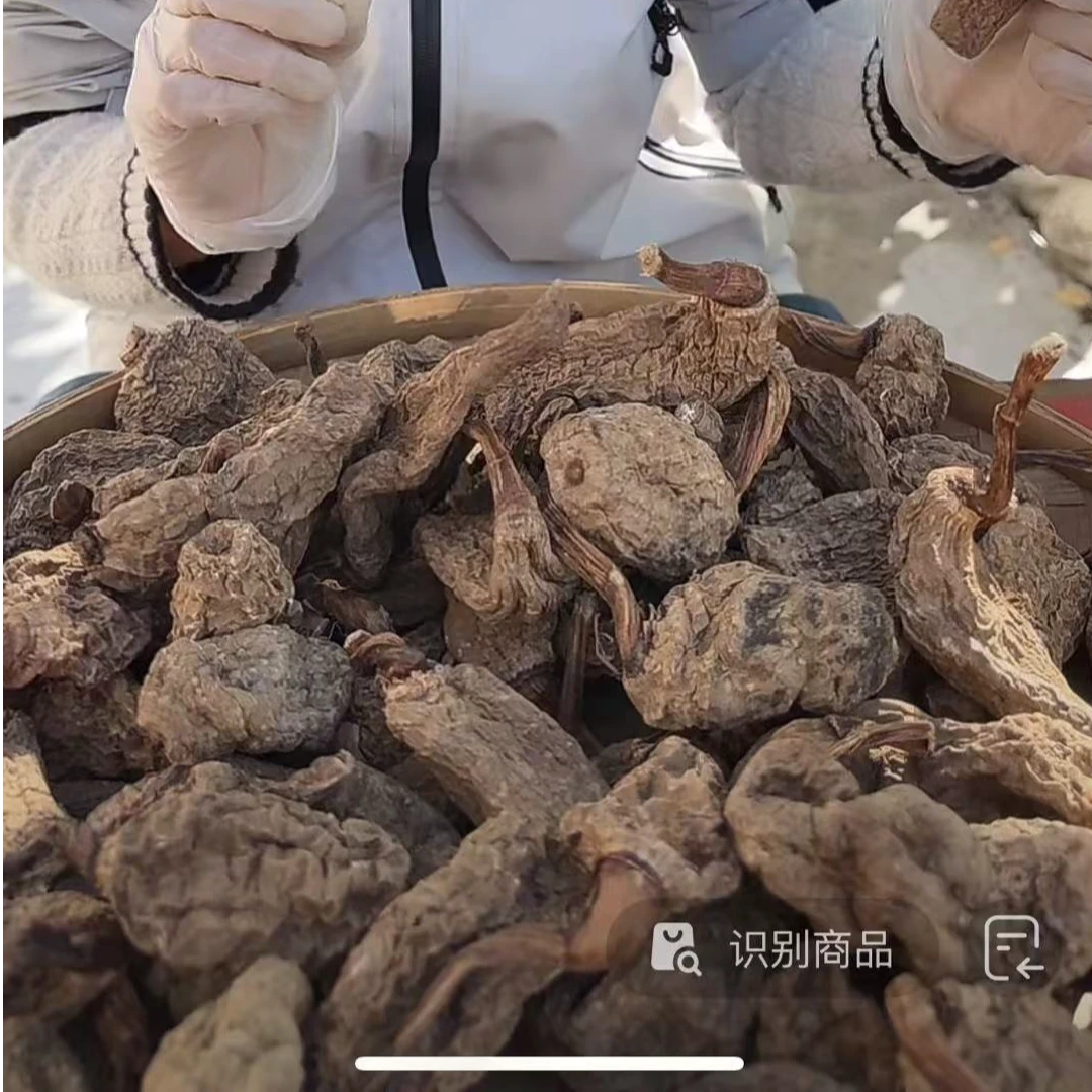 【山货乌天麻】