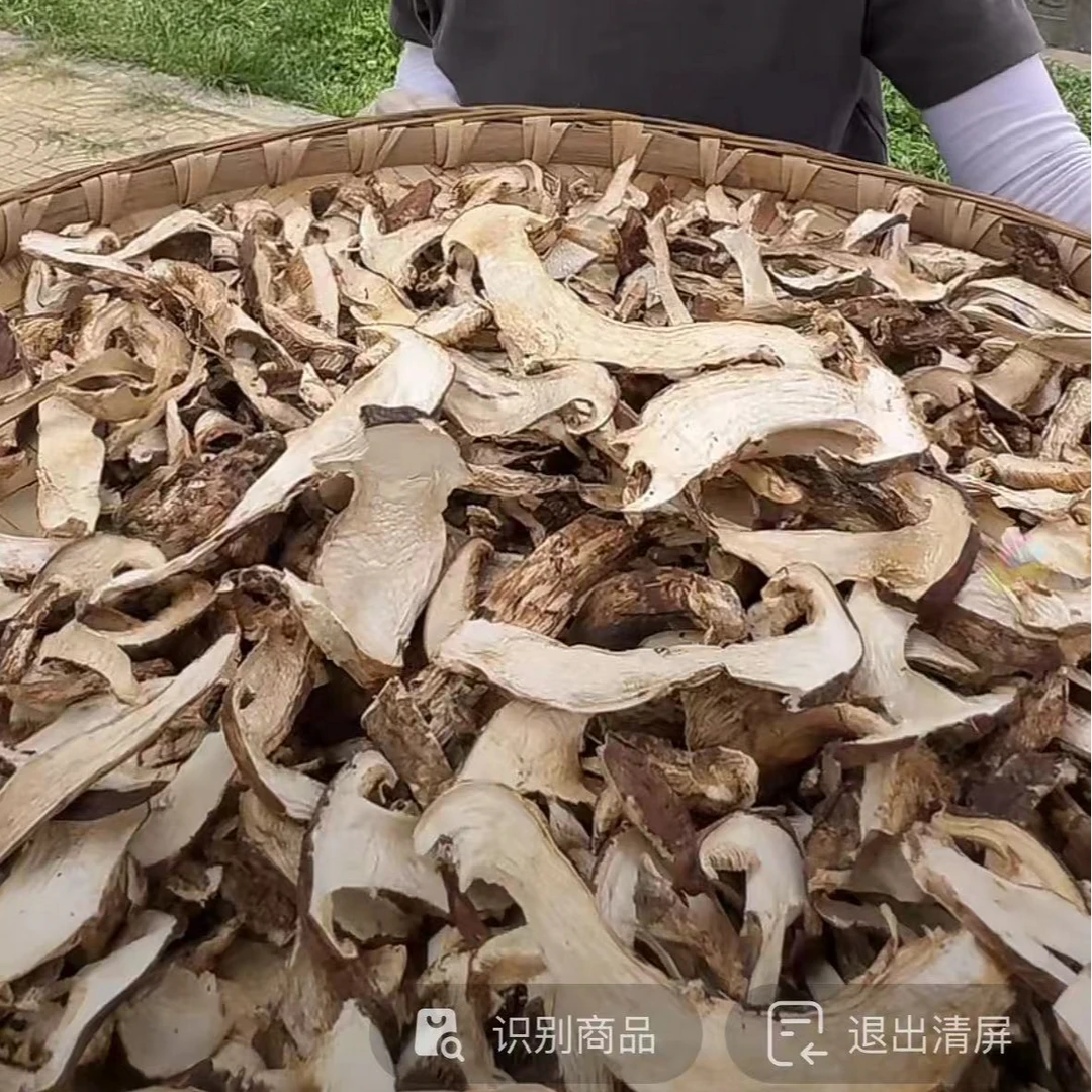 【松茸干片】