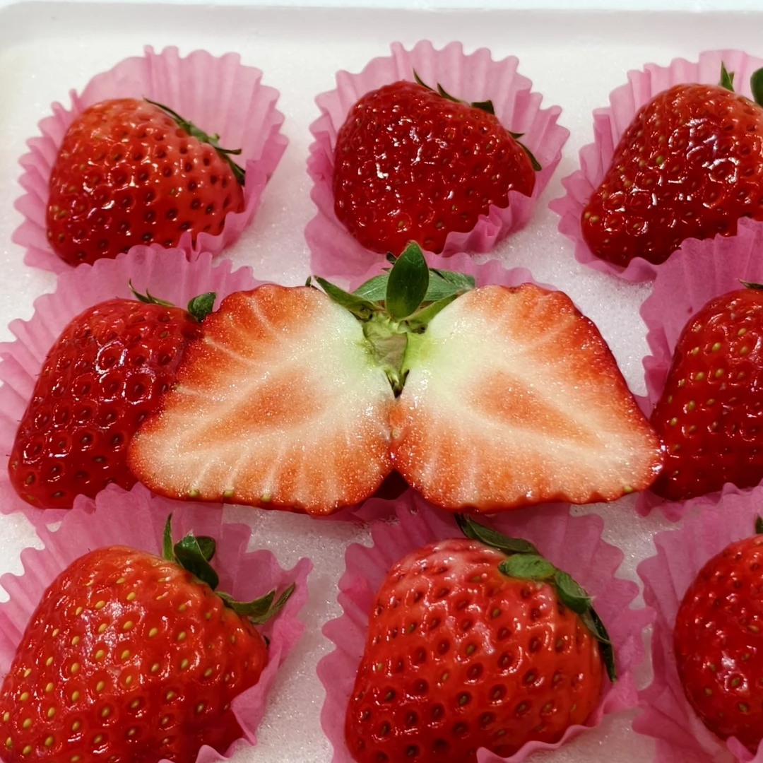 【沈阳顺丰同城送】丹东99草莓中果1盒 净重半斤 12粒