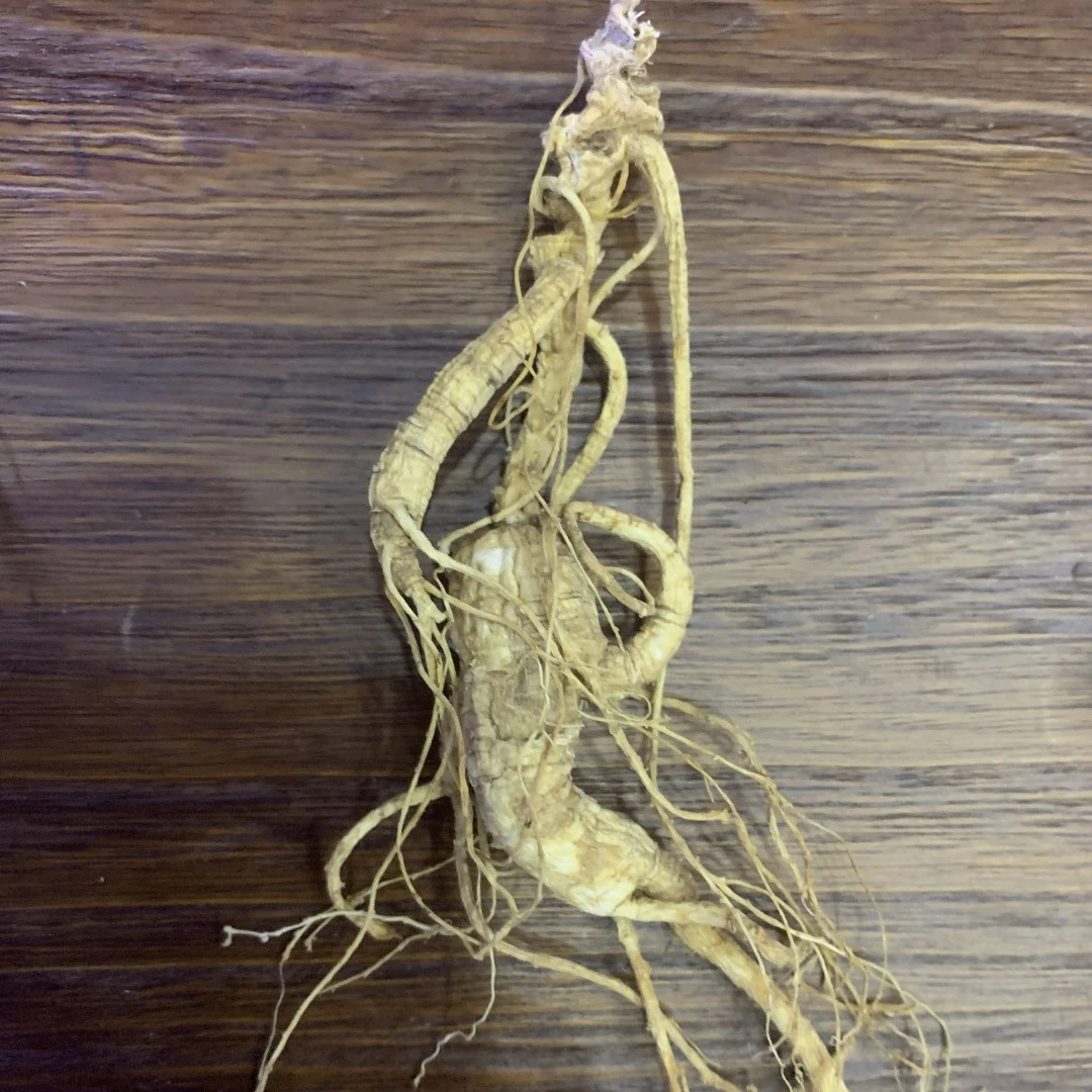 李把頭22年左右籽货林下参（残）长白山人参 生晒参自封袋散装称重