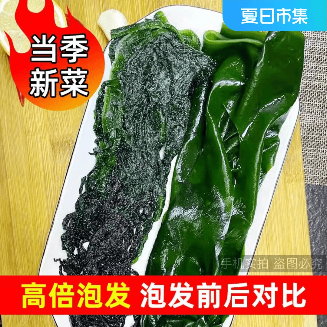 优选盐渍裙带菜口感细腻鲜嫩新鲜美味