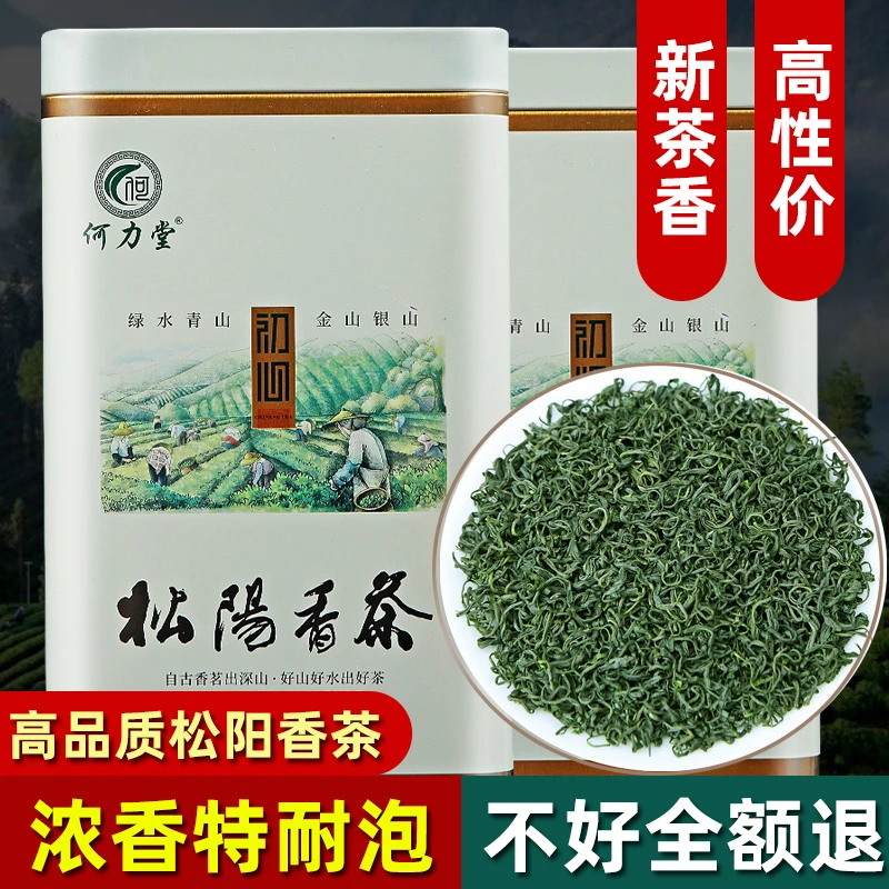 AA龙三松阳香茶2023新茶春茶 明前一级云雾绿茶浓香型