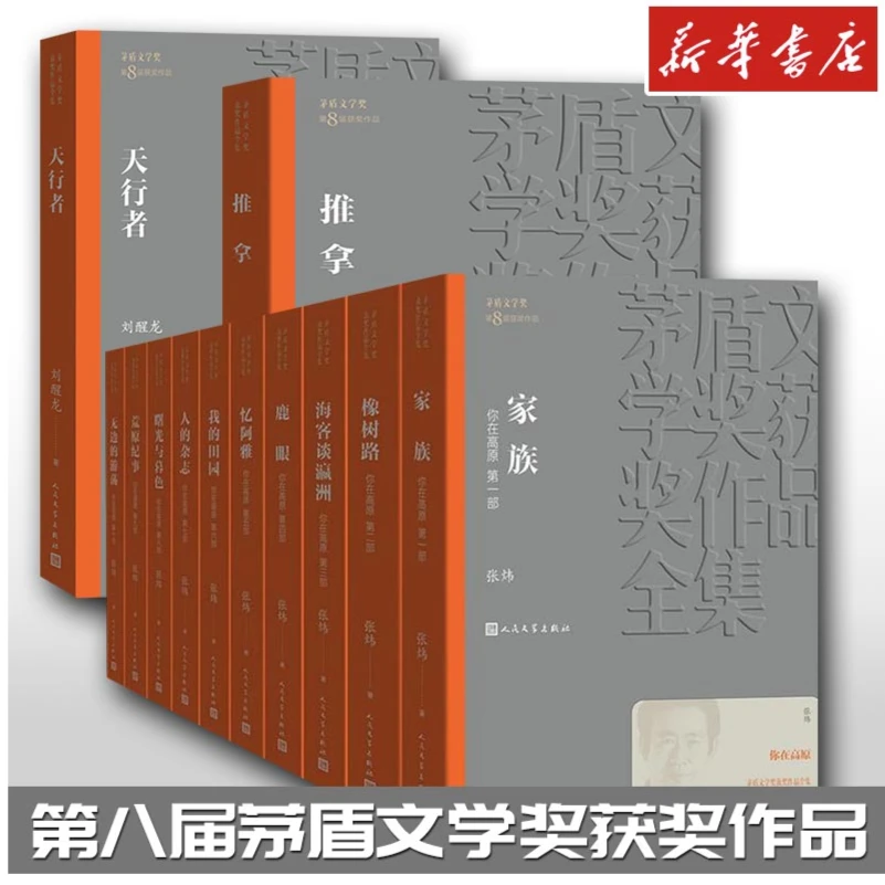 第八届茅盾文学奖作品  你在高原+天行者+推拿