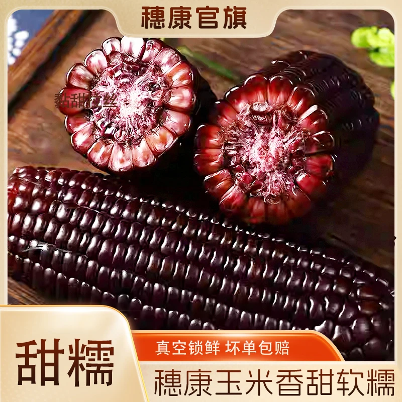 新鲜黑糯玉米10支香甜糯米真空包装
