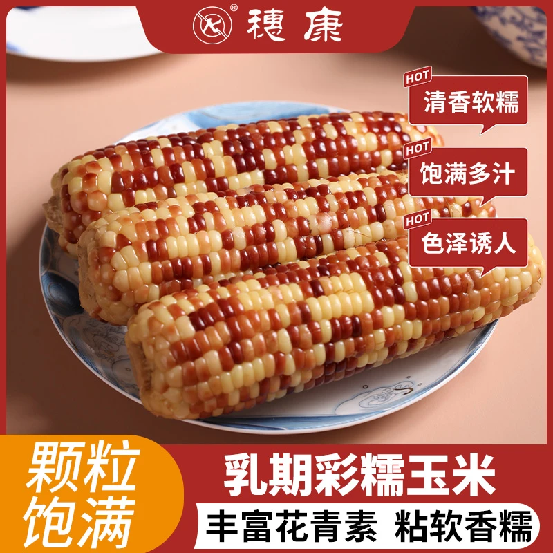 穗康乳期彩糯玉米软糯鲜香软糯清甜出口品质180g*11支