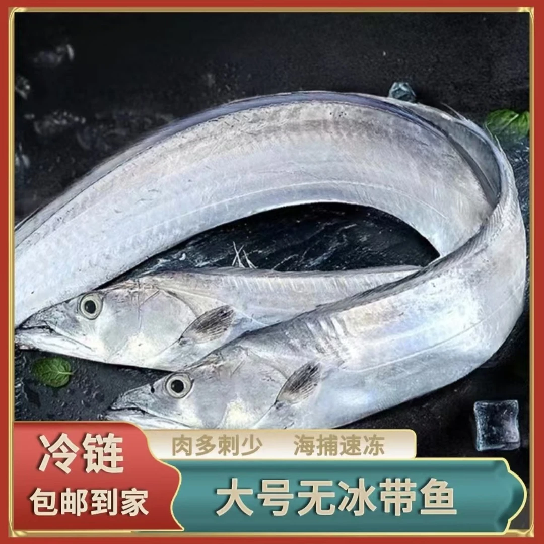 【5付】野生小眼油钓带鱼  整条新鲜 净重无冰 香煎油炸