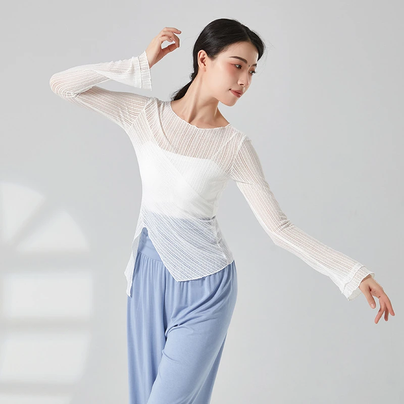 夏季古典舞上衣女成人形体练功演出飘逸身韵纱衣中国现代舞舞蹈服