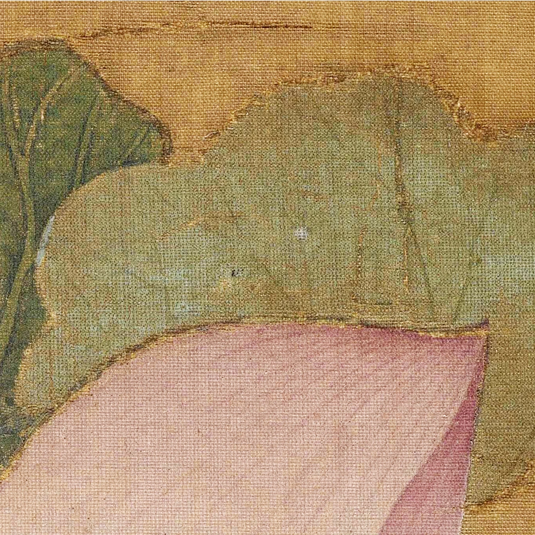 唐辉建老师《出水芙蓉图》成人学习中国画绘画临摹课
