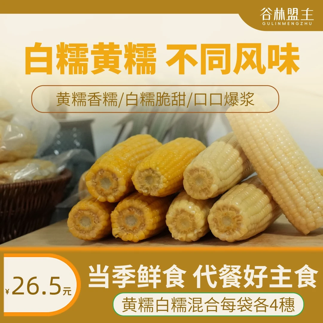【到手8穗】4根精品小黄糯＋4根精品白糯非转基因