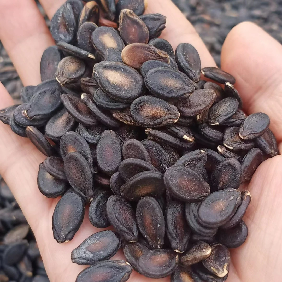 红安七里坪农家本地生打瓜子1斤/3斤/5斤装