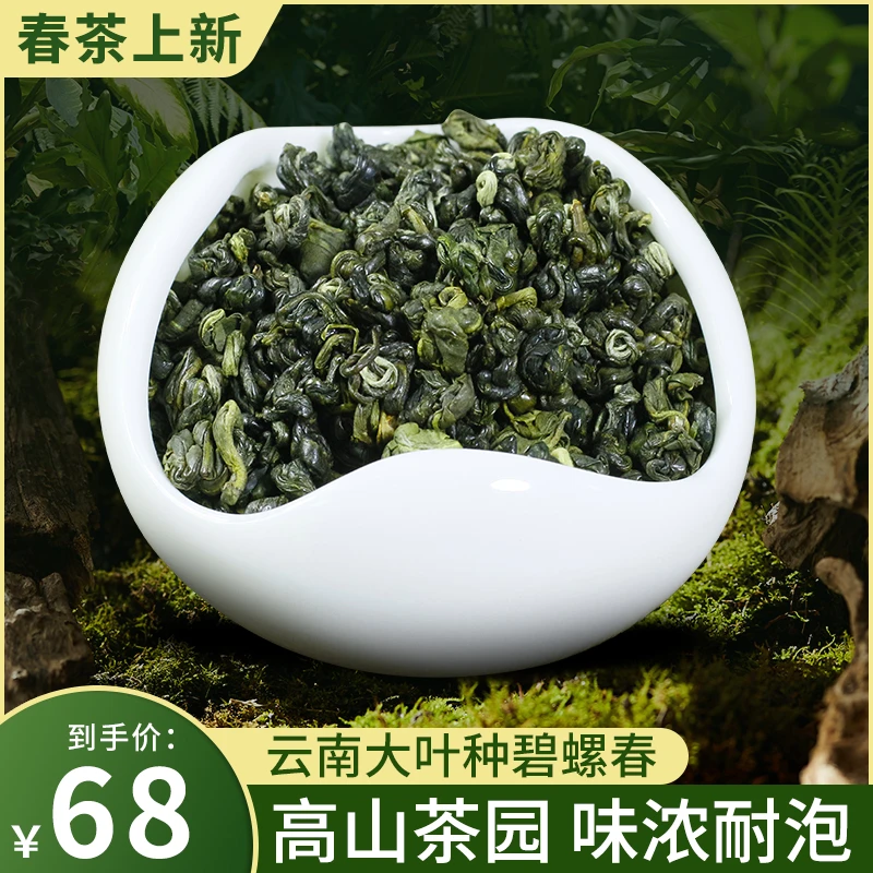 【春茶上新】云南大叶种滇绿碧螺春山茶直供